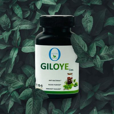OVITAS AYURVEDA GILOYE cap.
