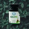OVITAS AYURVEDA GILOYE cap. view 1
