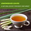 VanSattva Lemongrass Leaves - Cymbopogon citratus - Herbal Tea - Detox - 100 gram view 3