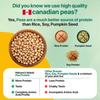 Natures Island Plant Protein 1 Kg | Canadian Pea Protein Isolate | Vegan | 25g Protein/Serving | Easy To Digest | All Essential Amino Acids | No Sugar | No Preservatives | Mocha Coffee Flavour view 3