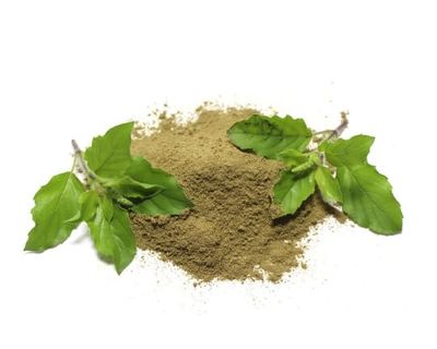 GODSOWNCOUNTRYINHoly Basil RAW Thulasi Leaf Powder - Organic Herbal Supplement 100g