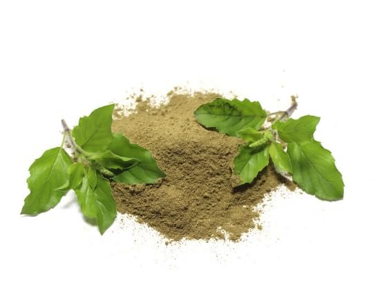 GODSOWNCOUNTRYINHoly Basil RAW Thulasi Leaf Powder - Organic Herbal Supplement 100g