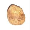 Pujahome Ekakshee Ekakshi Nariyal One Eye Coconut for Pooja Vastu & Fengshui (Pack of 2) | Sacred Coconut for Mandir, Lakshmi Pooja & Religious Rituals view 3