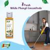 7Fresh EUCALYPTUS Perfumed Phenyl Concentrate Liquid 200 ml (2 Pack of 100 ml) (MAKES 5 TO 8 LITRE OF THICK WHITE PHENYL) Floor Cleaner,Pine Based,Long Lasting,Faster Dilution view 2