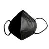 GEO CARE Fabric 3 Ply Disposable Face Mask with Nose Clip and Reusable Travel Pouch for Unisex (BLACK) view 1