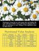 The Meadows Calm Chamomile Teabags | Stress Anxiety Relief & Sleep Quality | 40 Tea bags view 2