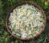 The Meadows Calm Chamomile Teabags | Stress Anxiety Relief & Sleep Quality | 40 Tea bags view 3