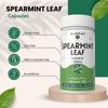 Spearmint Leaf Capsules 1000mg | Spearmint (Mentha spicata) Powder | 100% Pure, Natural, Gluten-Free Formula Herbal Supplements for Overall Wellness, Non-GMO - 120 Count view 3