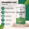 Spearmint Leaf Capsules 1000mg | Spearmint (Mentha spicata) Powder | 100% Pure, Natural, Gluten-Free Formula Herbal Supplements for Overall Wellness, Non-GMO - 120 Count view 4