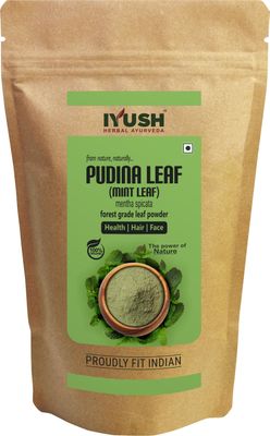 Pudina Powder for Eating, 400gm | Dry Mint Powder for Eating | Dry Mint Leaves | Pudina Leaves Fresh | Dried Mint Leaves | Mint Powder Dry | Pudina Powder Dry | Mint Powder for Cooking |