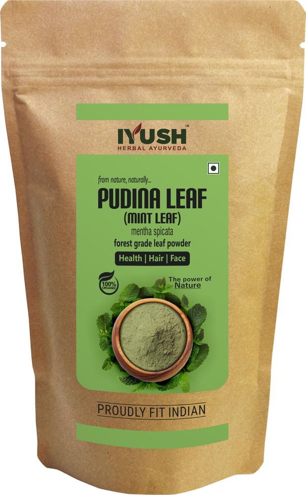 Pudina Powder for Eating, 400gm | Dry Mint Powder for Eating | Dry Mint Leaves | Pudina Leaves Fresh | Dried Mint Leaves | Mint Powder Dry | Pudina Powder Dry | Mint Powder for Cooking |