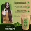 Pudina Powder for Eating, 400gm | Dry Mint Powder for Eating | Dry Mint Leaves | Pudina Leaves Fresh | Dried Mint Leaves | Mint Powder Dry | Pudina Powder Dry | Mint Powder for Cooking | view 4