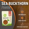 Coco Organics Sea Buckthorn Berry Powder - 100 gm, Rich Source of Natural Collagen, Vitamins & Phytonutrients For Skin (100 gm) view 3