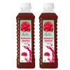 Mountain Bawarchi Buransh Squash Drink | Himalayan Rhododendron Juice Concentrate | Refreshing Rhododendron Juice | Ready to Serve | 750ml (Pack of 2) view 1