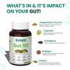 Blubein Gut Detox | Cleanse Plant-Based Tablets for Men & Women | Reduces Acidity, Constipation & Supports Digestion With Ayurvedic Herbs Enhances Gut Health | 60 Veg Tablets view 4