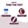 NORY EarlyCheck Pregnancy Test Kit  2 Midstream Tests, Over 99% Accuracy, Ultra Sensitive HCG Detection (10mIU/mL), Early Pregnancy Detection, No Cup or Dropper Needed (Pack of 2) view 4