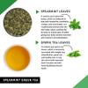 Teacurry Spearmint Green Tea (200 Gms + Infuser) - Help with Facial Hair, Digestive Wellness & Alertness - 100% Vegan and Caffeine-Free view 2