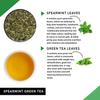 Teacurry Spearmint Green Tea (90 Tea Bags, 3 Month Pack) - Help with Facial Hair, Digestive Wellness & Alertness - 100% Vegan and Caffeine-Free view 2