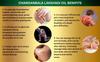Chandanbala Lakshadi Oil 200 ml, Chandanbala Lakshadi Ayurvedic Massage Oil  Cooling & Nourishing Herbal Body Oil for Daily Abhyanga | Relieves Burning Sensation, Strengthens Muscles & Promotes Sound Sleep view 2