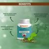 BIOAYURVEDA Bio Stamina Strong Capsule for Endurance and Energy 30 Capsules (Pack Of 2) view 2