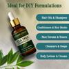 AROMATICO Tea Tree Essential Oil For Hair Growth, Skin & Face Care - Tea Tree Oil For Dandruff | Promotes Blemish Free Skin, Improves Hair Growth 100% Pure, Natural | 30ML view 2