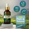 AROMATICO Tea Tree Essential Oil For Hair Growth, Skin & Face Care - Tea Tree Oil For Dandruff | Promotes Blemish Free Skin, Improves Hair Growth 100% Pure, Natural | 30ML view 3