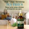 AROMATICO Tea Tree Essential Oil For Hair Growth, Skin & Face Care - Tea Tree Oil For Dandruff | Promotes Blemish Free Skin, Improves Hair Growth 100% Pure, Natural | 30ML view 4