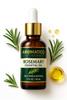 AROMATICO Rosemary Essential Oil. Helps Hair Growth, Controls Hair fall & Dandruff. Aroma Therapy, Stress Relief, Skin & Sleep. 100% Pure & Natural - 30ml view 2
