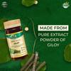Zandu Giloy Tablets with 100% Pure Giloy Extract | Ayurvedic Immunity Booster | Protects against Infections | Improves Liver Function |100% Ayurvedic & Vegetarian (60 Tabs) view 4