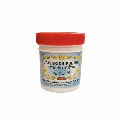 Dehlvi Jawarish Pudina 250 Gm