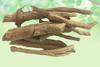 Asrol Root-Choti Chandan Snake Root-Raw Herbs-Asrol Jadd-Single Herb-Jadi Booti (1000 Gram) view 2