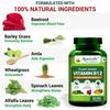 Agniveda Plant Based Vitamin B12 for Men & Women (60 Capsules) | Natural Formulation for Vegetarians & Vegans to support Nervous System & Brain Function | Good For Digestion And Nerve Health view 3