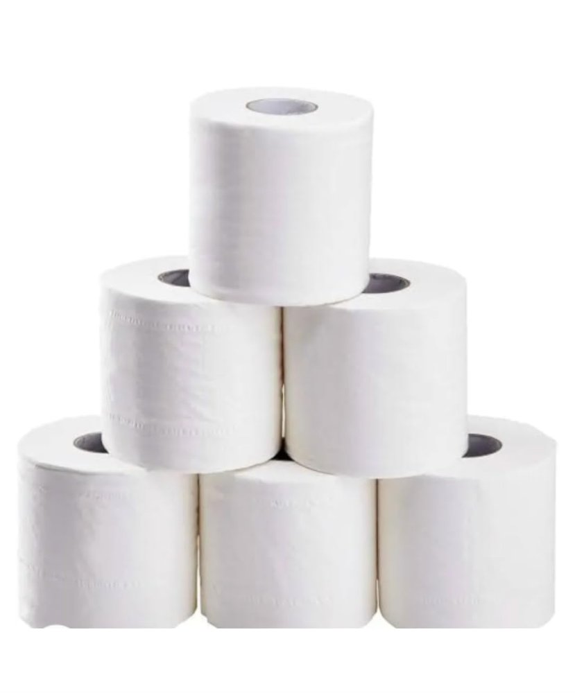 Geetanjali Toilet Tissue roll (2 ply) - 6 PC's Packing for good absorbancy