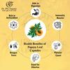 Dr. JPG Organic papaya capsuels 60veg. For Pletlets Count/Papaya Leaf powder Capsules. view 4