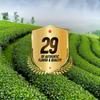 Swad Elaichi Tea | Real Cardamom | 500 Grams (PACK OF 2) view 3
