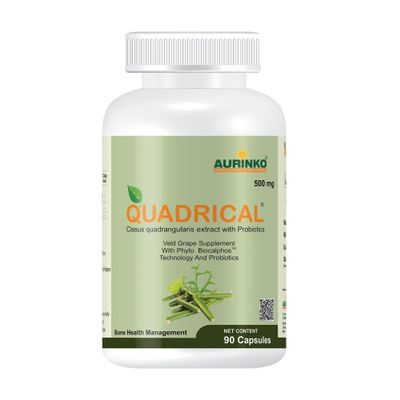Quadrical - Cissus quadrangularis 250 mg with Probiotics, Lactobacillus bulgaricus and streptococcus thermophilus, fortified with FOS by Aurinko Healthcare. 90 Capsules