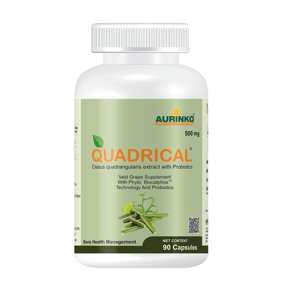 Quadrical - Cissus quadrangularis 250 mg with Probiotics, Lactobacillus bulgaricus and streptococcus thermophilus, fortified with FOS by Aurinko Healthcare. 90 Capsules