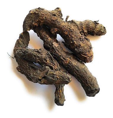 AB WORLD CLASS Kaali Haldi Black Turmeric 10 Pieces (Naturally Dry) for Puja
