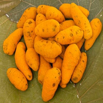 100gm Gundu Manjal | Poosu Manjal Kilangu, I - from Farms of Tamilnadu