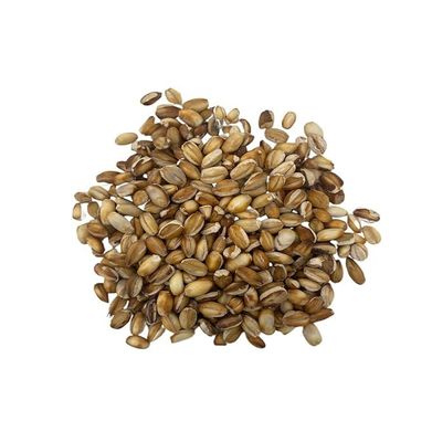 BNsons Barley Puff, (Lightly Salted | High in Protein | Whole Grain | Low-Fat Snack)