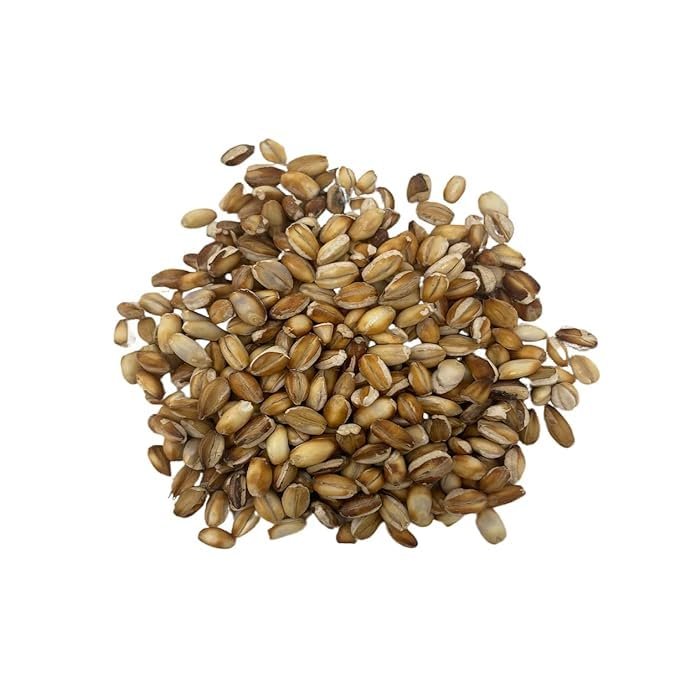 BNsons Barley Puff, (Lightly Salted | High in Protein | Whole Grain | Low-Fat Snack)