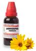 Willmar Schwabe Andrographis Paniculata Mother Tincture - Kalmegh Q (30ml) - Set of 2 Bottles view 1