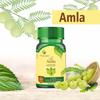 Sayurvedic Amla 60 Capsules - Health Booster | Hair Care | Rich in Antioxidants | Provides Protection against Infections | Pure herbs view 2