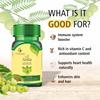 Sayurvedic Amla 60 Capsules - Health Booster | Hair Care | Rich in Antioxidants | Provides Protection against Infections | Pure herbs view 4