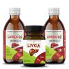 SANATVA LIVRAX DS Syrup 200ML Pack of 2 with Livkia - Liver support and Detox view 1