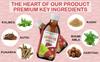 SANATVA LIVRAX DS Syrup 200ML Pack of 2 with Livkia - Liver support and Detox view 3