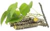 KD Giloy Natural Guruch Gulvel Guduchi Fresh Plant Stems Sticks Giloya Bel (7-inch) Set of 10 view 1