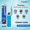 PawaHy Electrolyte Energy Reload Instant Hydration - Blueberry, Pack of 2 (30 Tablets) view 2