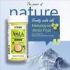 IYUSH Herbal Ayurveda Wild Himalayan Amla Powder  100gm | Amla Powder for Eating | Amla Powder for Hair Growth Organic | Organic Amla Powder | Hair Volume Powder | Indian Gooseberry Powder | view 3