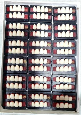 Dental Leo Dent Acrylic Teeth Kit Sets Shade Of Teeth Upper 6-23